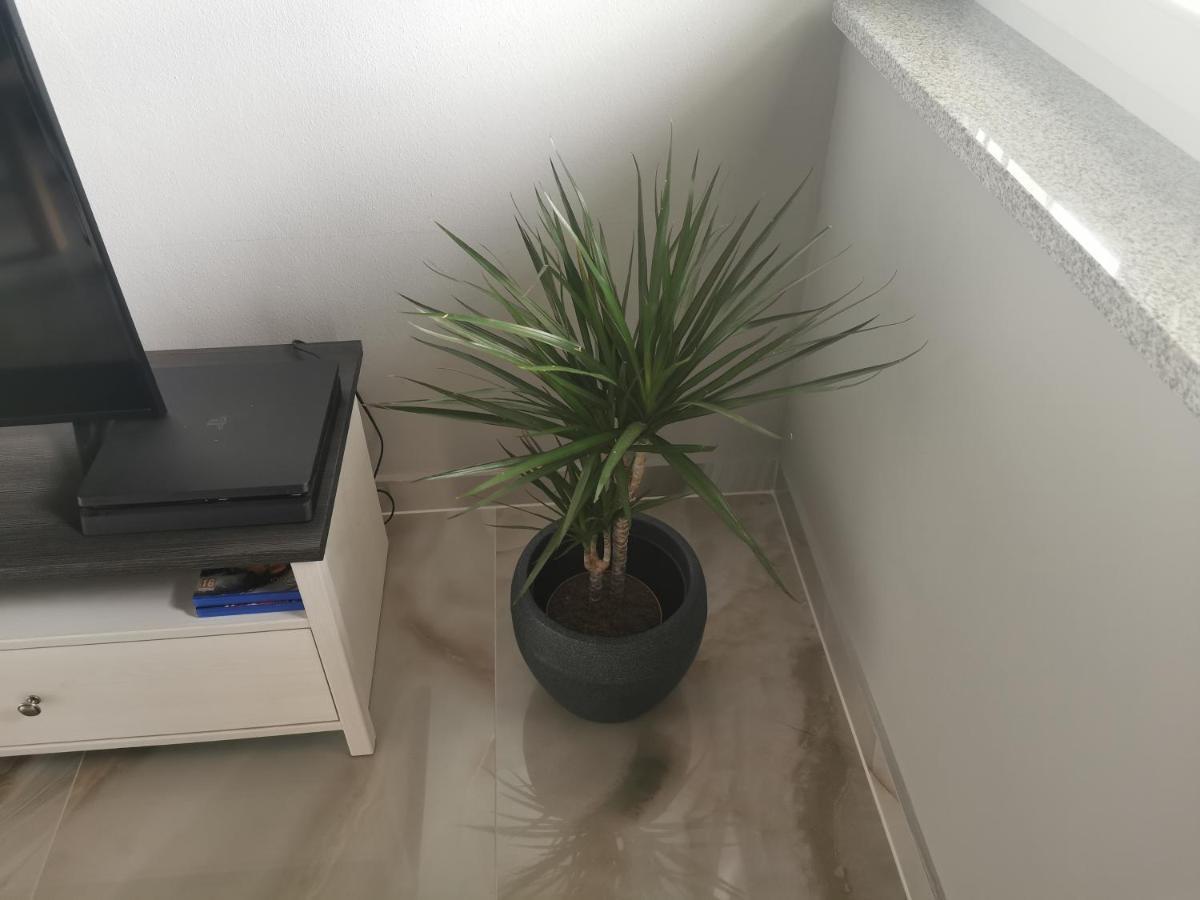 Apartment Luki Povile Kültér fotó